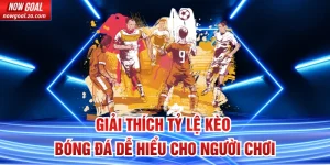 Giải thích tỷ lệ kèo bóng đá